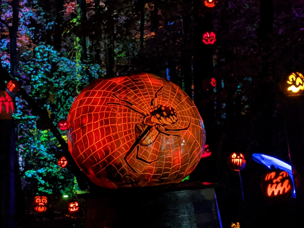 Louisville Jack O'Lantern Spectacular Roadtrips & Rollercoasters