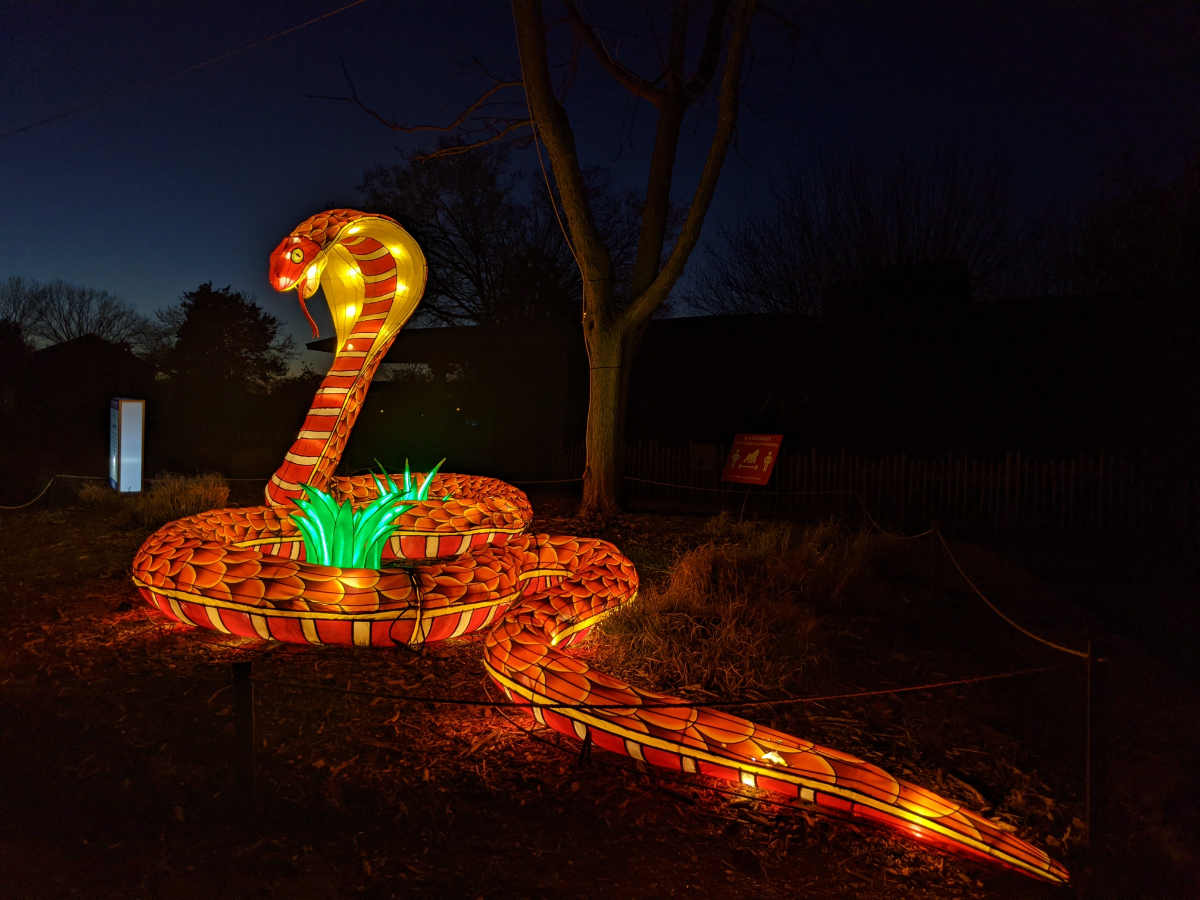 Wild Lights at the Louisville Zoo Roadtrips & Rollercoasters