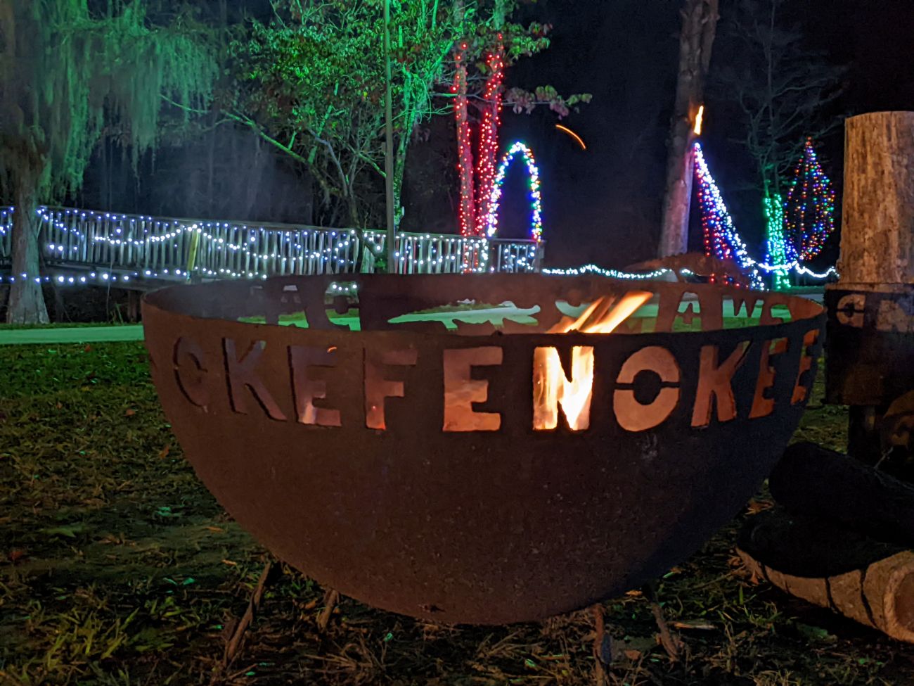 Okefenokee Swamp Park Christmas Lights Roadtrips & Rollercoasters