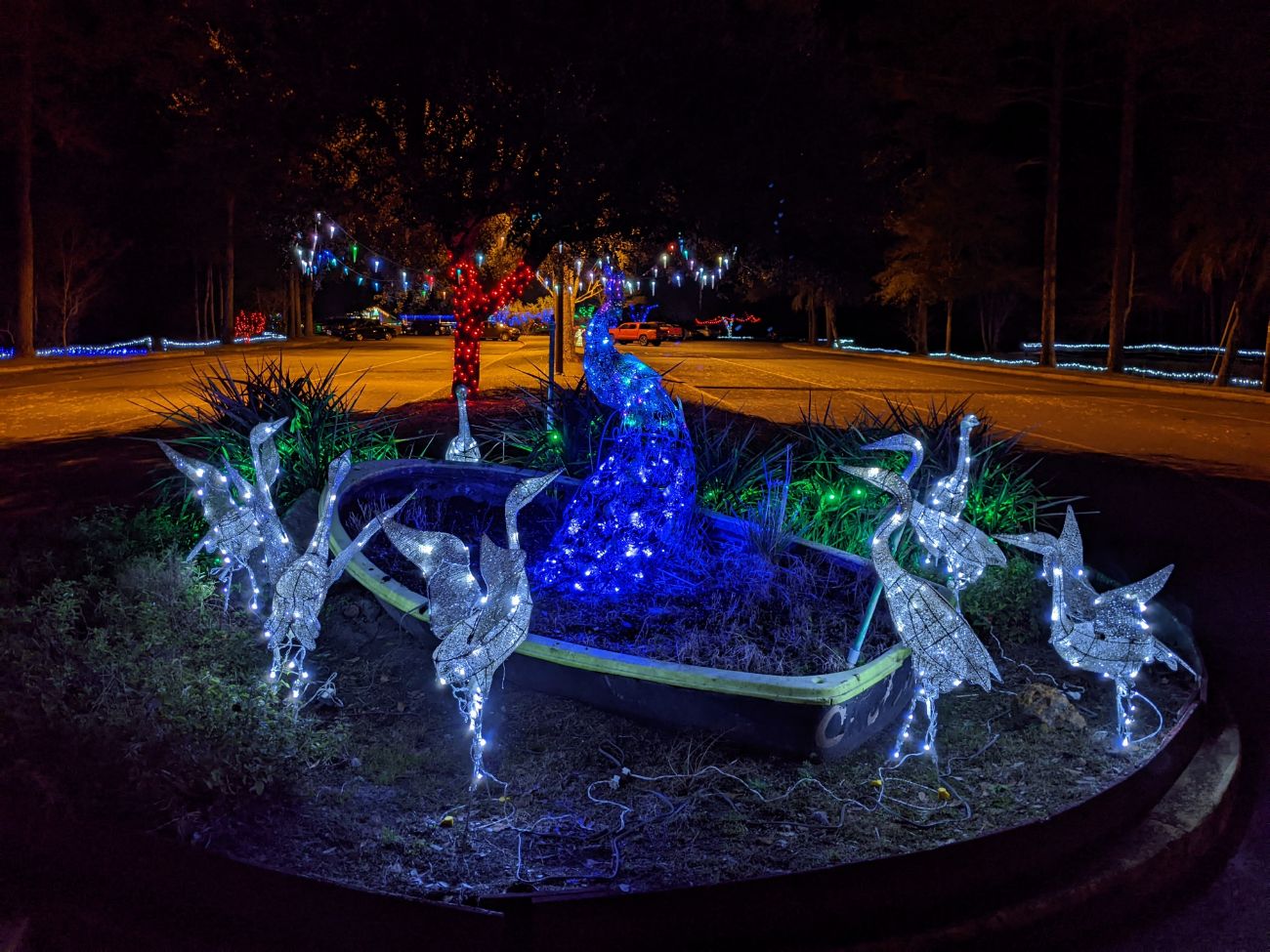 Okefenokee Swamp Park Christmas Lights Roadtrips & Rollercoasters