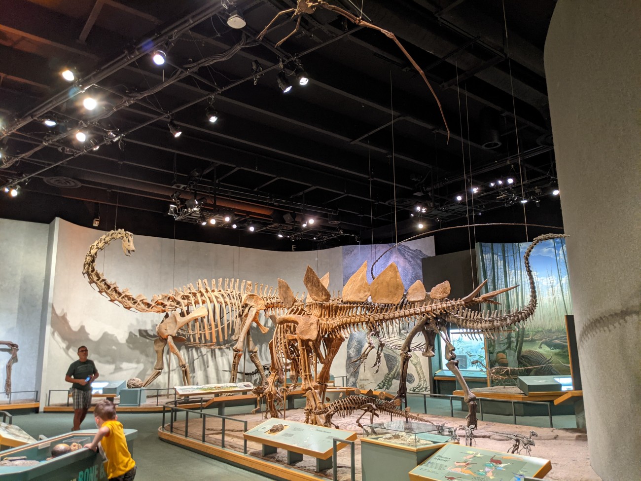 Denver Museum of Nature & Science - Roadtrips & Rollercoasters