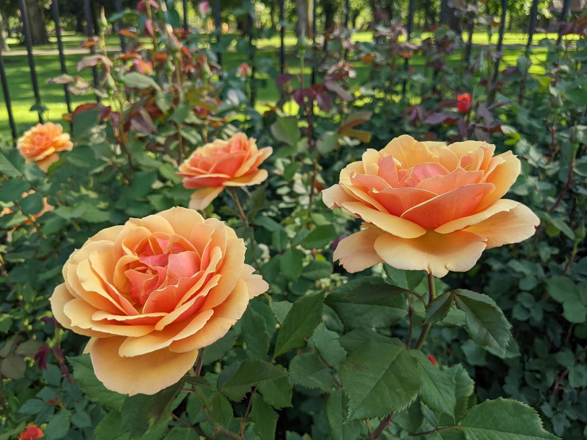 Boise Art Museum - Roadtrips & Rollercoasters